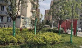 鲁家湾最新爆料,揭秘神秘事件背后的惊人真相