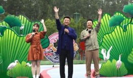 爆料西安头条新闻视频最新,揭秘最新爆料背后的惊人真相！